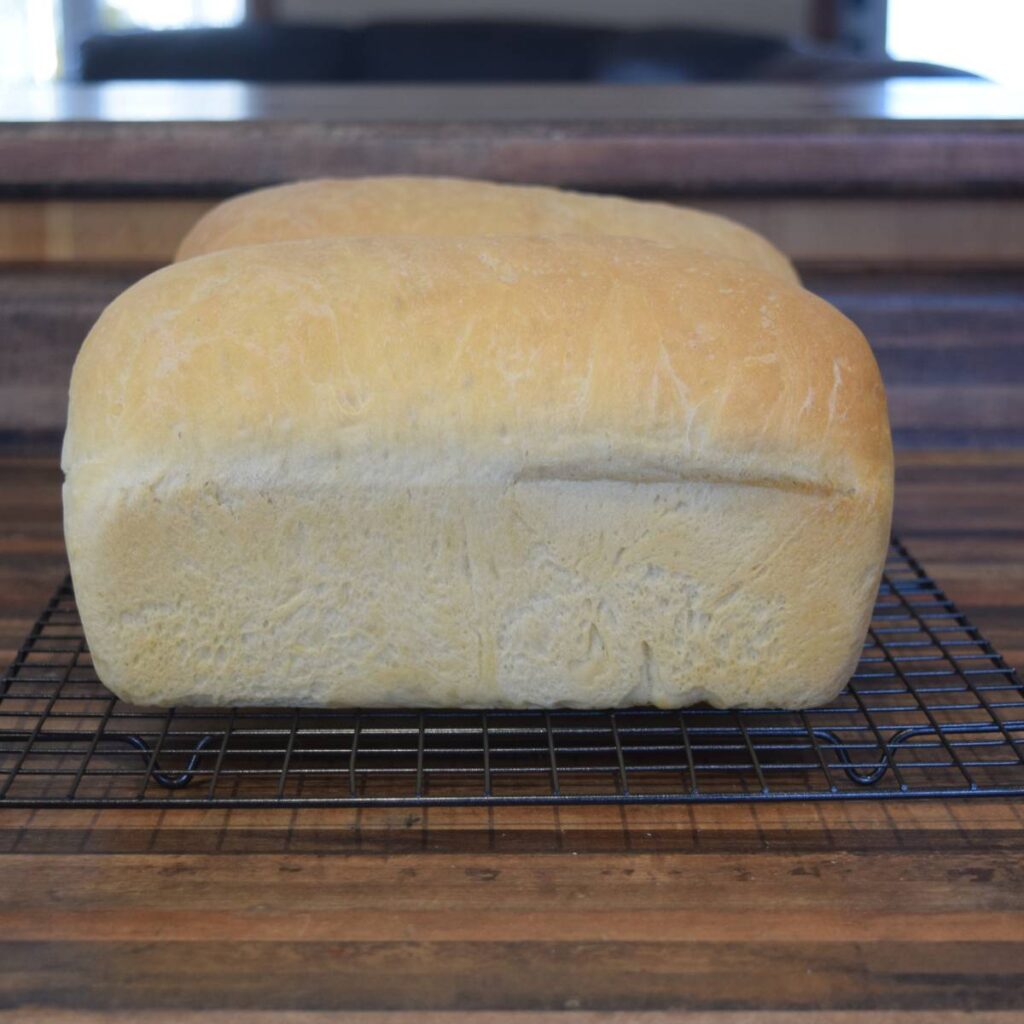 Super Simple Homemade White Bread cooling on counter after baking in the oven. 