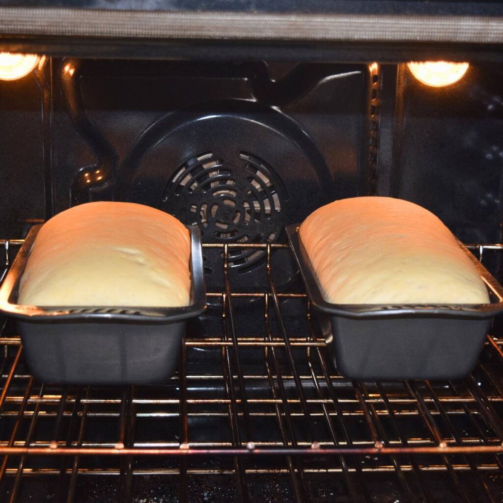 Super Simple Homemade White Bread in oven getting ready to bake.